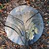 miroir au fond de jadis (19.9.2014)
