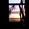 Le matin