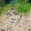 le puits de voyage (15.7.2014)